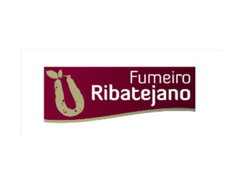 Jacinto Pimentel Rego & C.ª, Lda.
